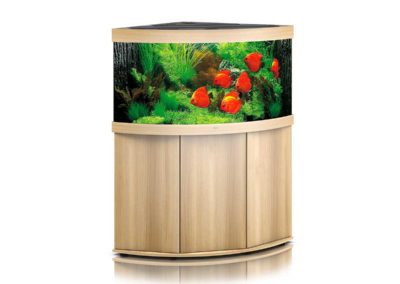 Juwel Aquarium Trigon 350 helles Holz