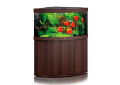 Juwel Aquarium Trigon 350 dunkles Holz